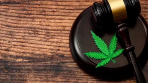 trial and cannabis